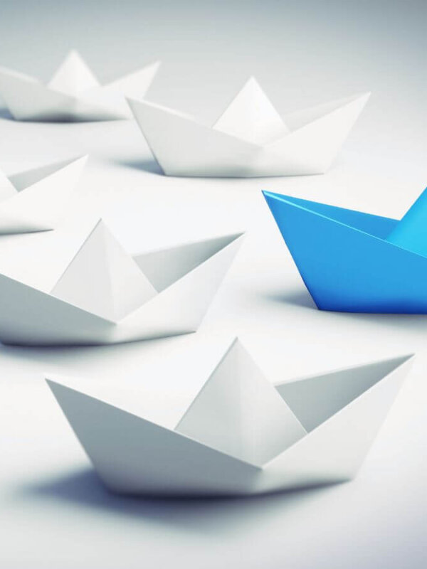 Vezetői támogatás, stratégia, digitális könyvelés, bérszámfejtés, induló és növekvő vállalkozásoknak