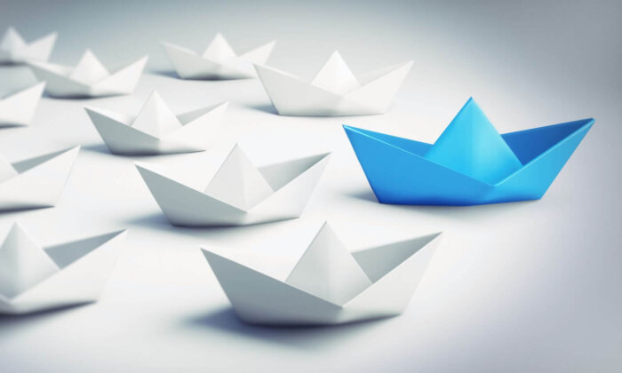 Vezetői támogatás, stratégia, digitális könyvelés, bérszámfejtés, induló és növekvő vállalkozásoknak